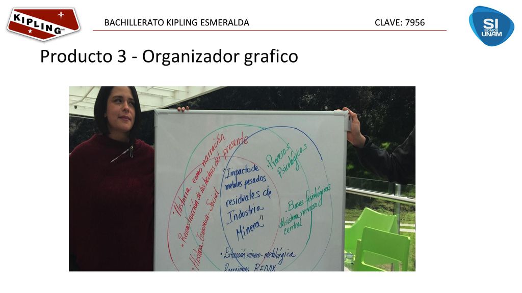 Producto 3 - Organizador grafico