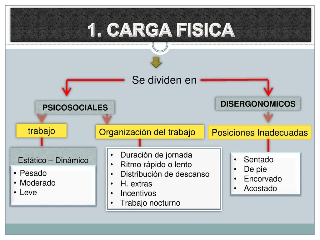 1. CARGA FISICA Se dividen en trabajo Organización del trabajo