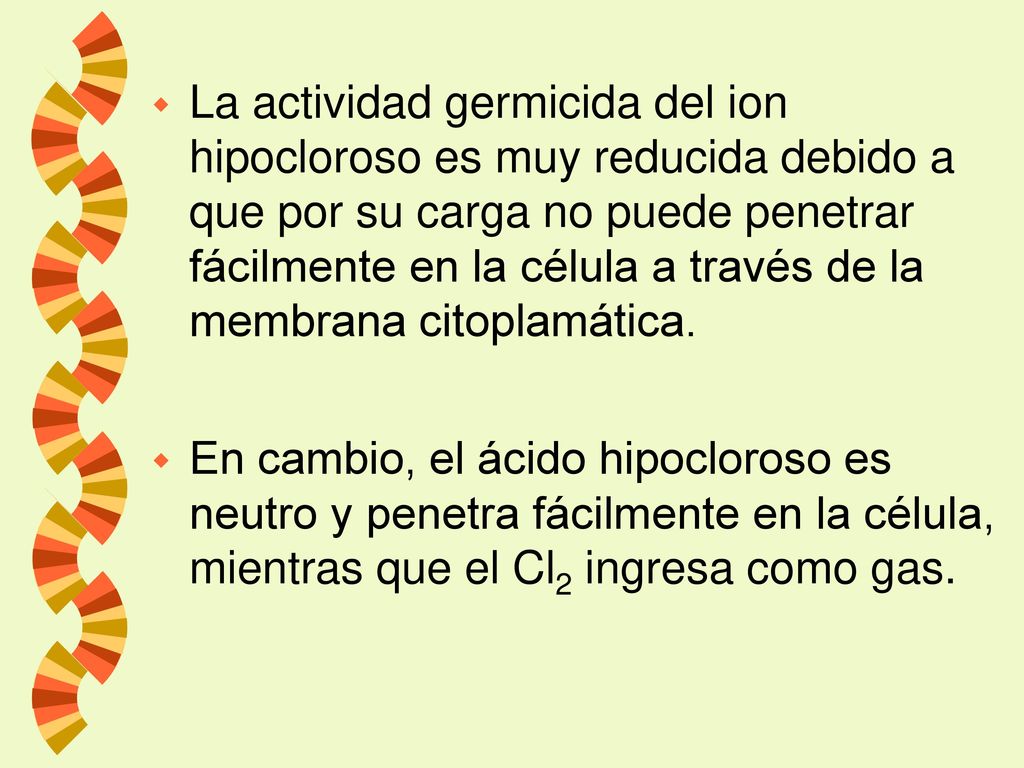 La actividad germicida del ion hipocloroso es muy reducida debido a que por su carga no puede penetrar fácilmente en la célula a través de la membrana citoplamática.