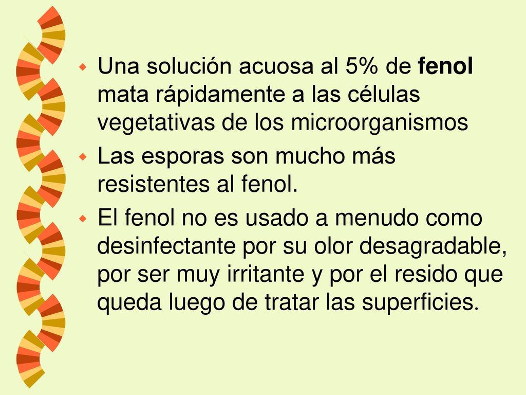 Una solución acuosa al 5% de fenol mata rápidamente a las células vegetativas de los microorganismos