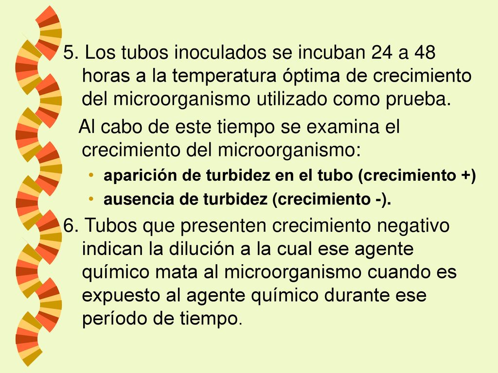 Al cabo de este tiempo se examina el crecimiento del microorganismo: