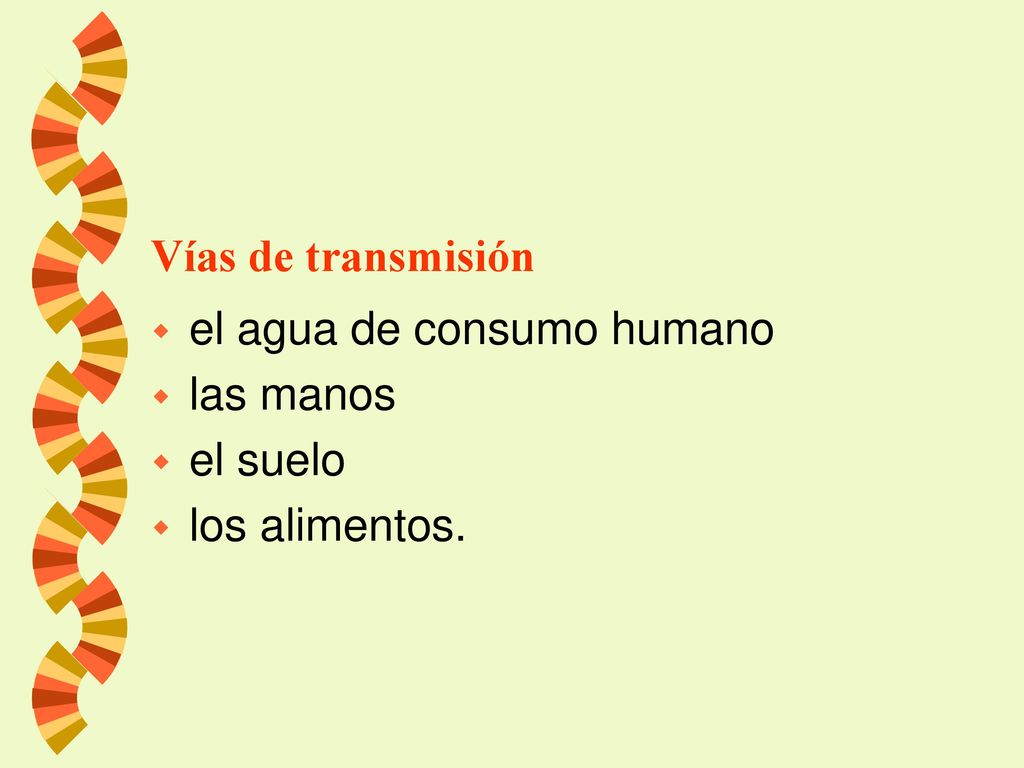 Vías de transmisión el agua de consumo humano las manos el suelo los alimentos.