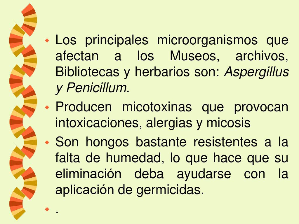 Los principales microorganismos que afectan a los Museos, archivos, Bibliotecas y herbarios son: Aspergillus y Penicillum.