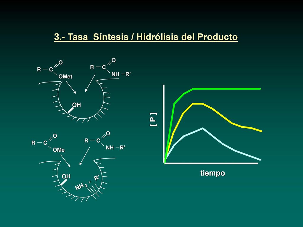 3.- Tasa Síntesis / Hidrólisis del Producto