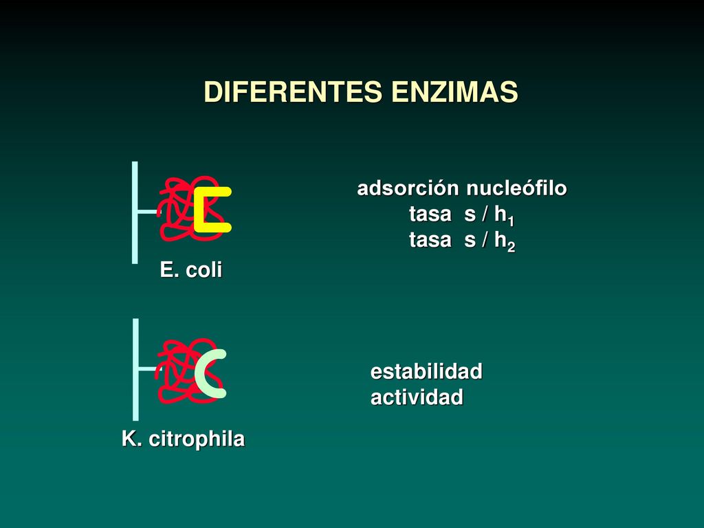 DIFERENTES ENZIMAS adsorción nucleófilo tasa s / h1 tasa s / h2