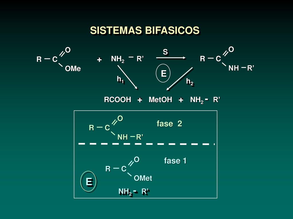 SISTEMAS BIFASICOS E + E fase 2 fase 1 RCOOH + MetOH + NH2 - R’ NH2 R’