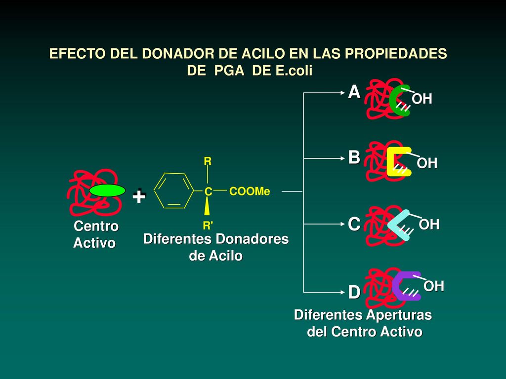 + A B D EFECTO DEL DONADOR DE ACILO EN LAS PROPIEDADES