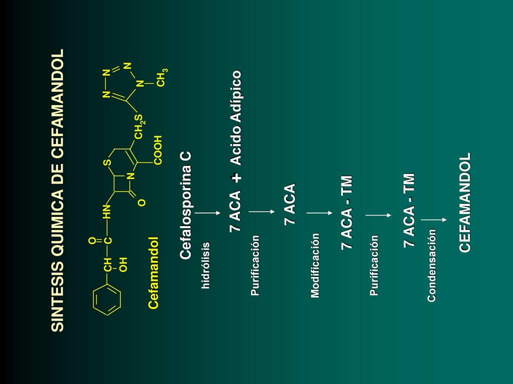 + SINTESIS QUIMICA DE CEFAMANDOL Cefalosporina C 7 ACA 7 ACA - TM