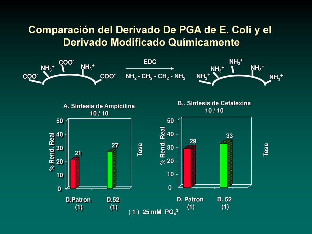 Comparación del Derivado De PGA de E. Coli y el