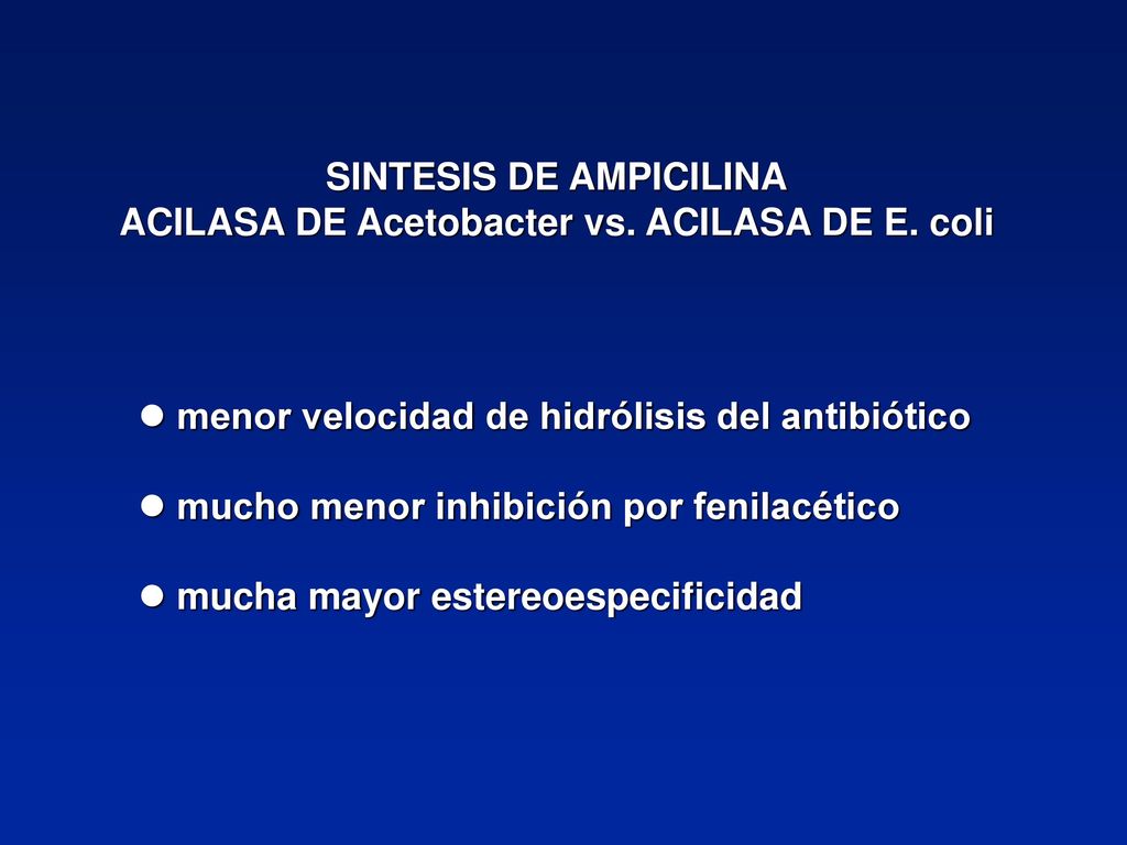 SINTESIS DE AMPICILINA ACILASA DE Acetobacter vs. ACILASA DE E. coli