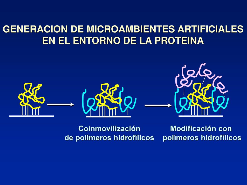 GENERACION DE MICROAMBIENTES ARTIFICIALES EN EL ENTORNO DE LA PROTEINA