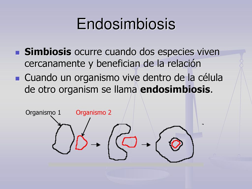 Endosimbiosis Simbiosis ocurre cuando dos especies viven cercanamente y benefician de la relación.