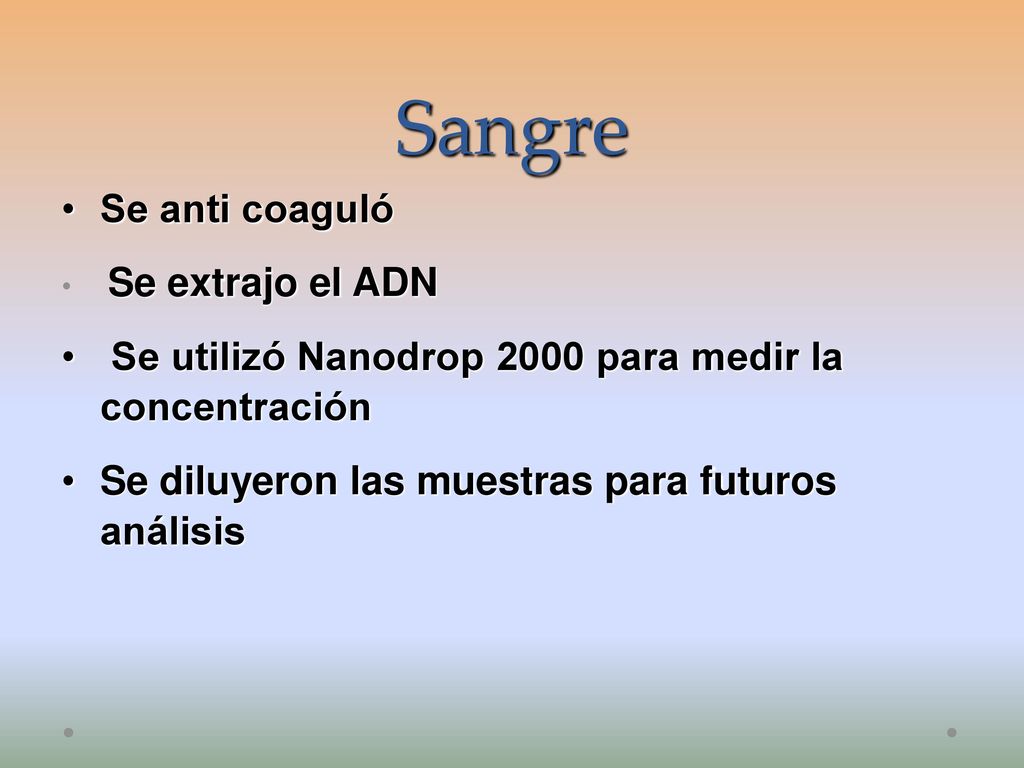 Sangre Se anti coaguló. Se extrajo el ADN. Se utilizó Nanodrop 2000 para medir la concentración.