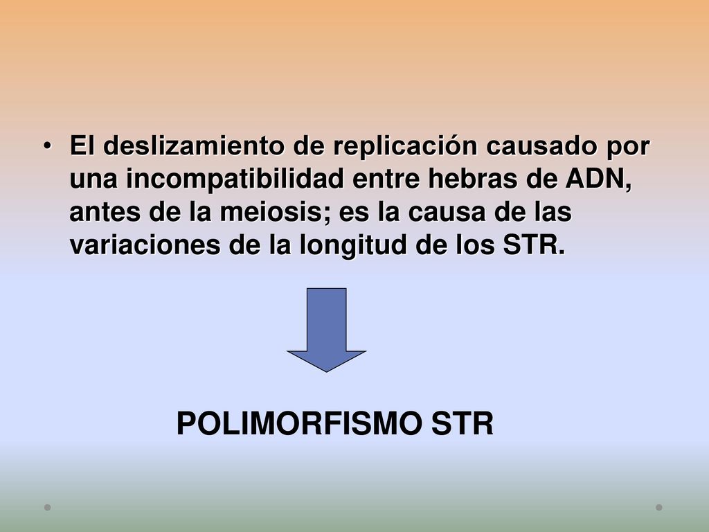 El deslizamiento de replicación causado por una incompatibilidad entre hebras de ADN, antes de la meiosis; es la causa de las variaciones de la longitud de los STR.