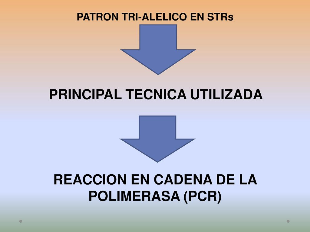 PRINCIPAL TECNICA UTILIZADA REACCION EN CADENA DE LA POLIMERASA (PCR)