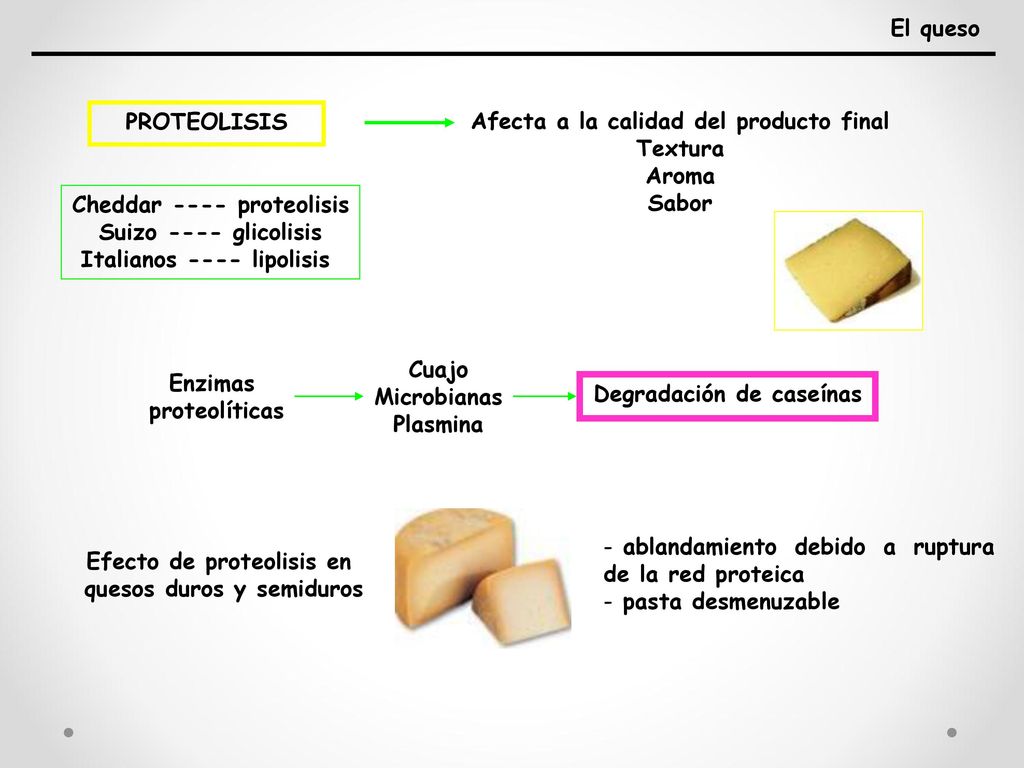 Afecta a la calidad del producto final Textura Aroma Sabor