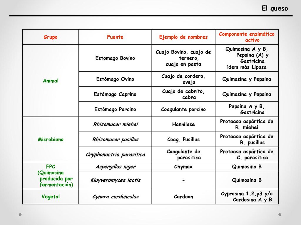 El queso Grupo Fuente Ejemplo de nombres Componente enzimático activo