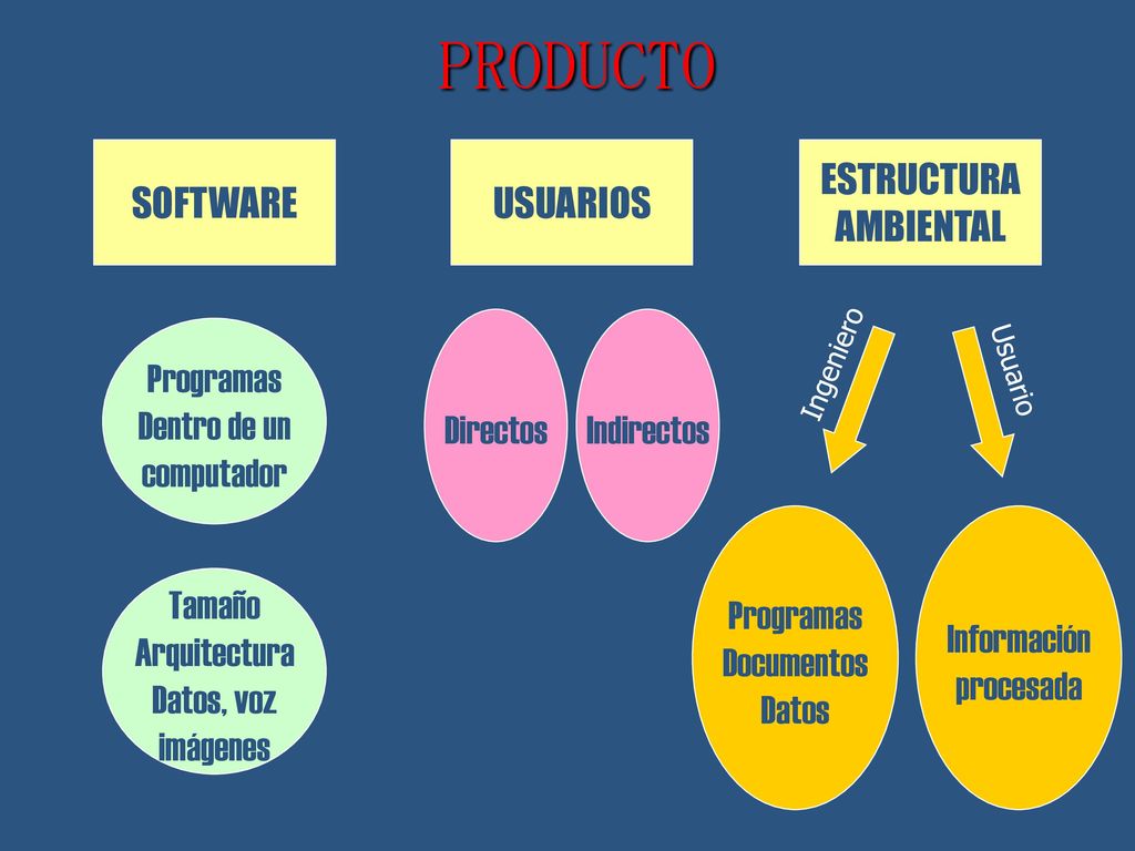 PRODUCTO SOFTWARE USUARIOS ESTRUCTURA AMBIENTAL Directos Indirectos