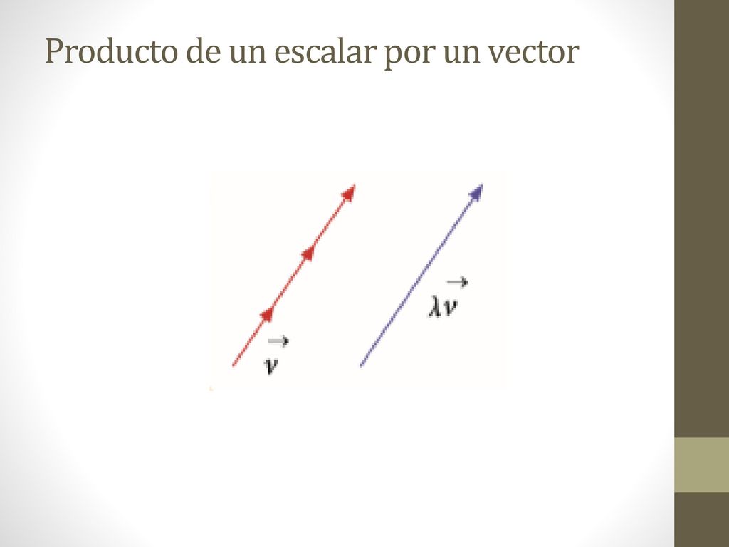 Producto de un escalar por un vector