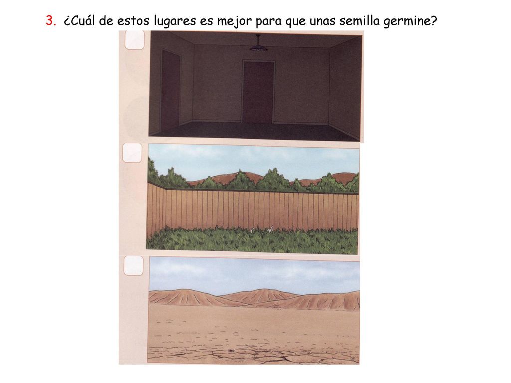 3. ¿Cuál de estos lugares es mejor para que unas semilla germine