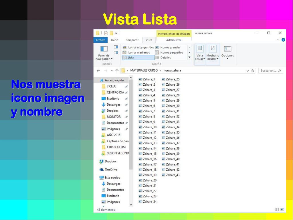 Vista Lista Nos muestra icono imagen y nombre