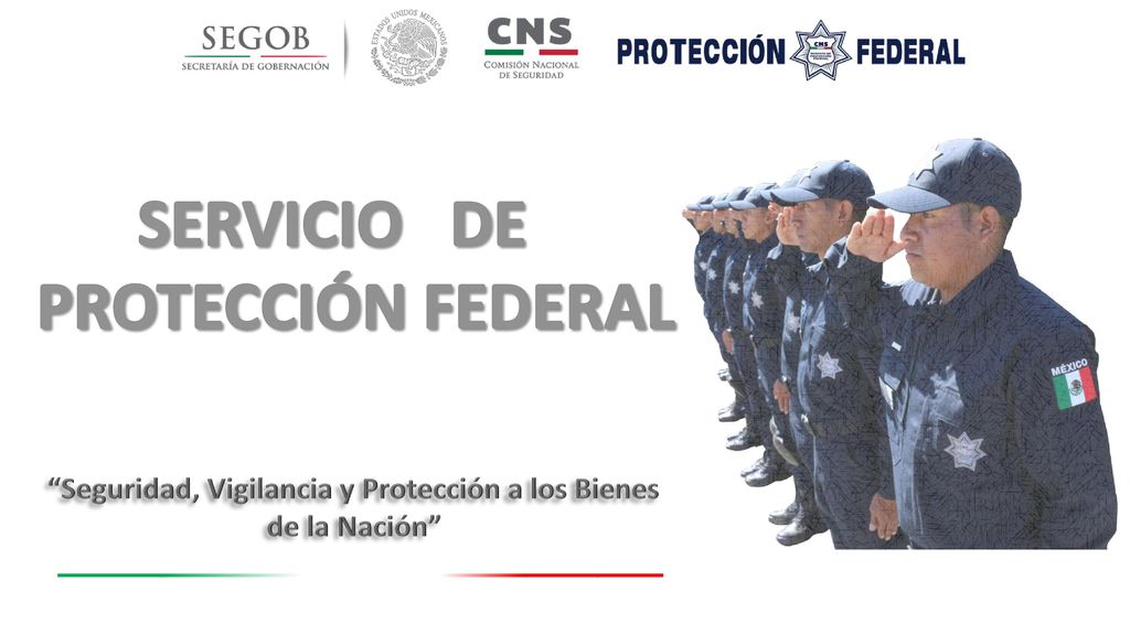 Seguridad, Vigilancia y Protección a los Bienes de la Nación