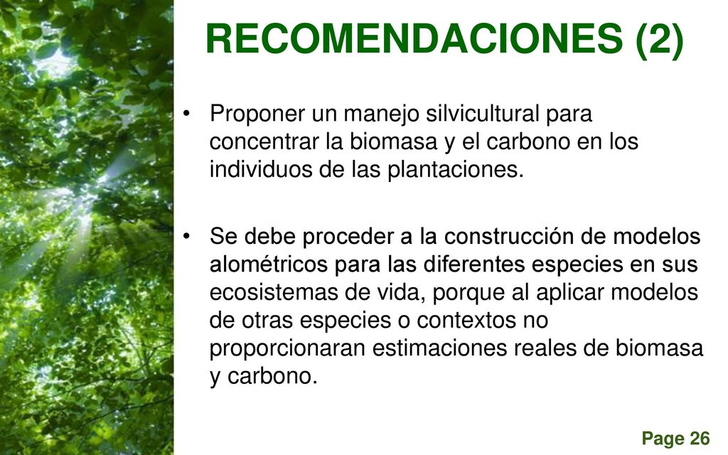 RECOMENDACIONES (2) Proponer un manejo silvicultural para concentrar la biomasa y el carbono en los individuos de las plantaciones.