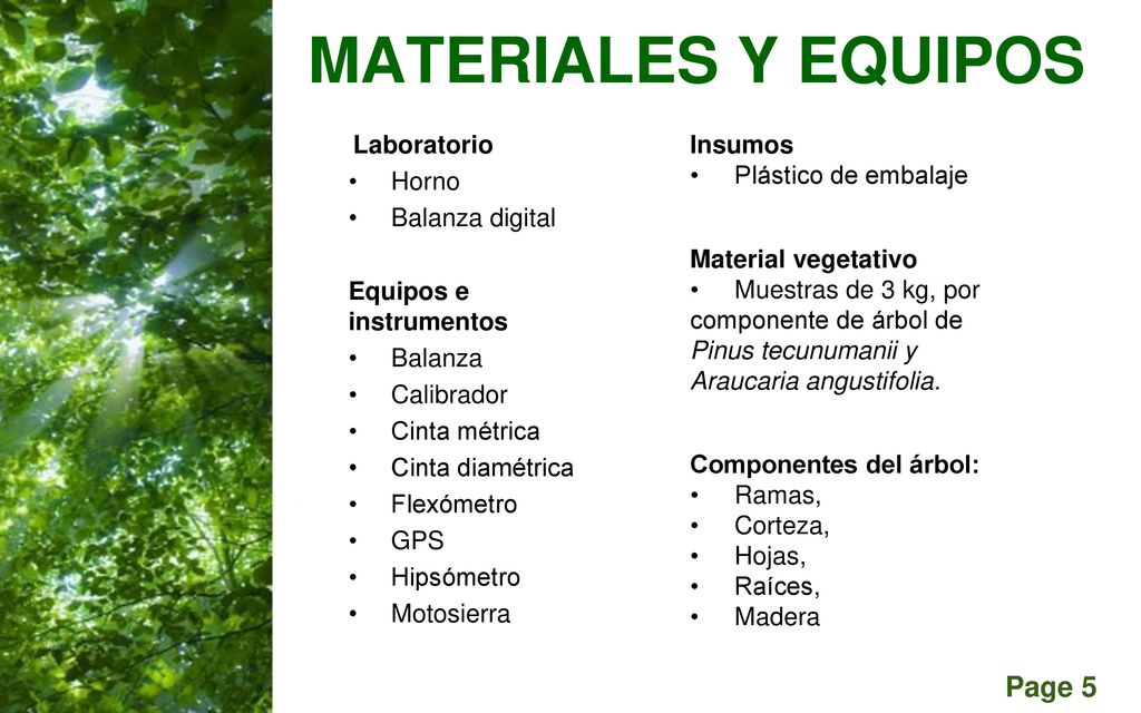 MATERIALES Y EQUIPOS Laboratorio Horno Balanza digital