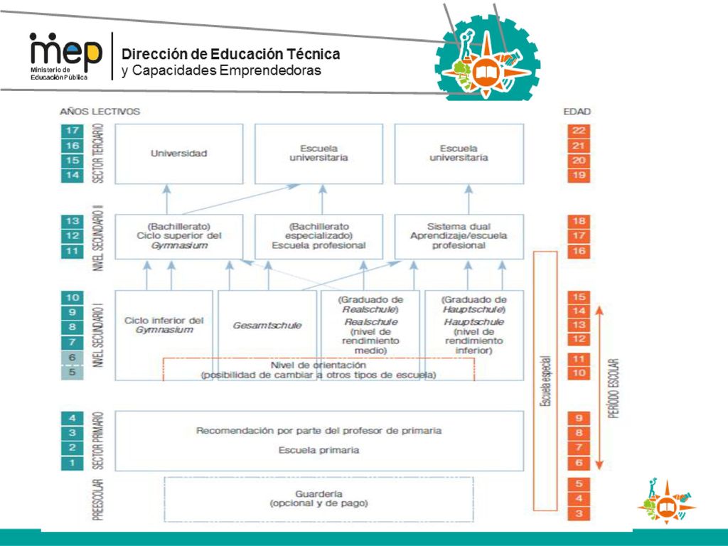 Implicito el proceso de orientación vocacional de los 10 a los 11 años.