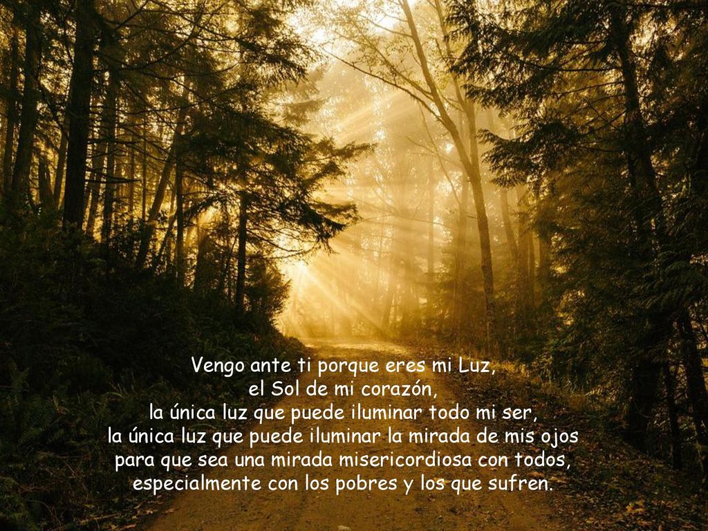 Vengo ante ti porque eres mi Luz, el Sol de mi corazón,