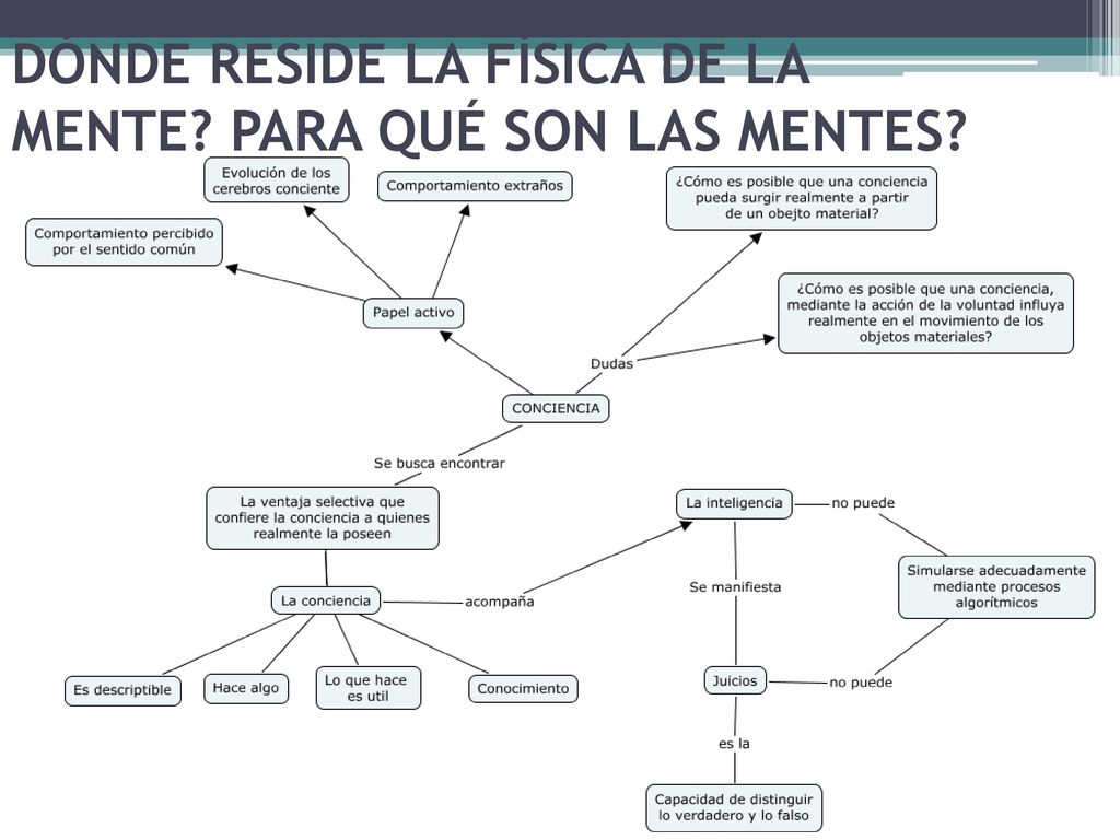 DÓNDE RESIDE LA FÍSICA DE LA MENTE PARA QUÉ SON LAS MENTES