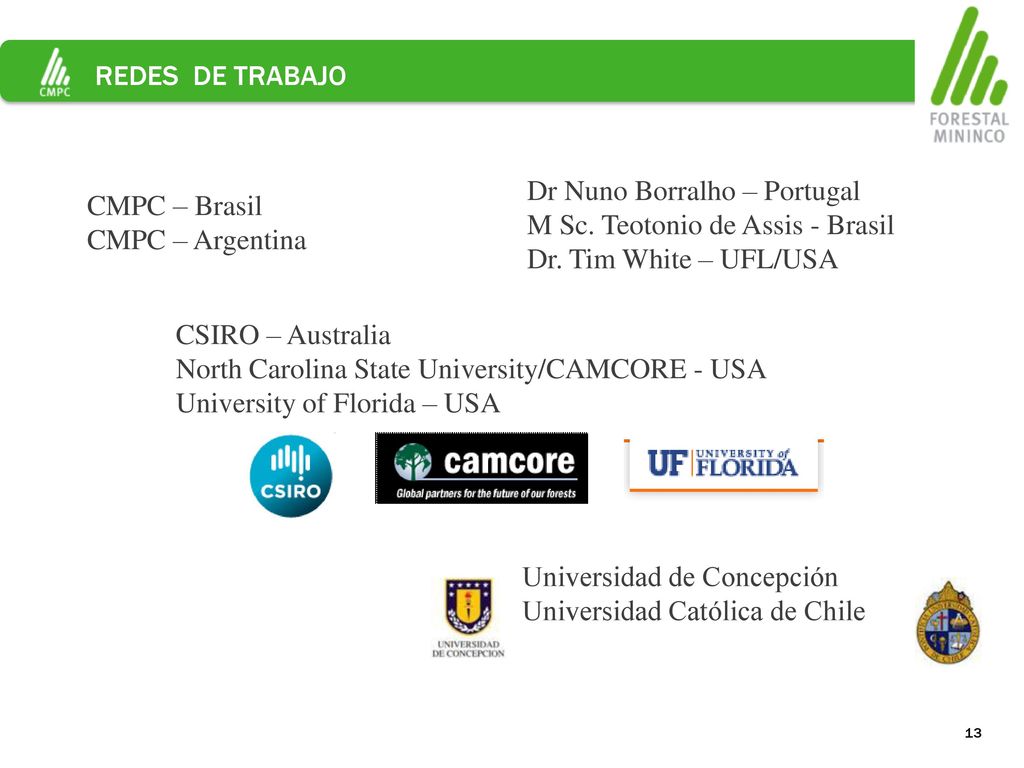 REDES DE TRABAJO Dr Nuno Borralho – Portugal. M Sc. Teotonio de Assis - Brasil. Dr. Tim White – UFL/USA.