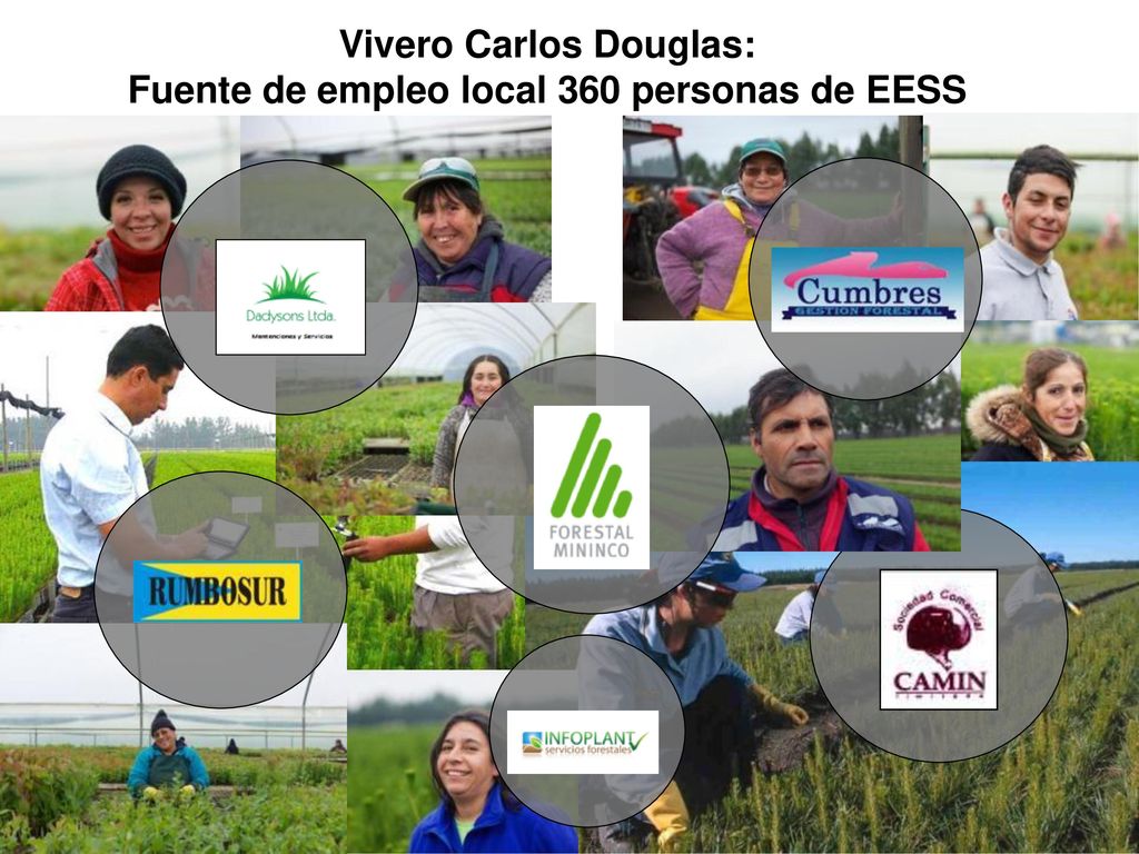 Vivero Carlos Douglas: Fuente de empleo local 360 personas de EESS