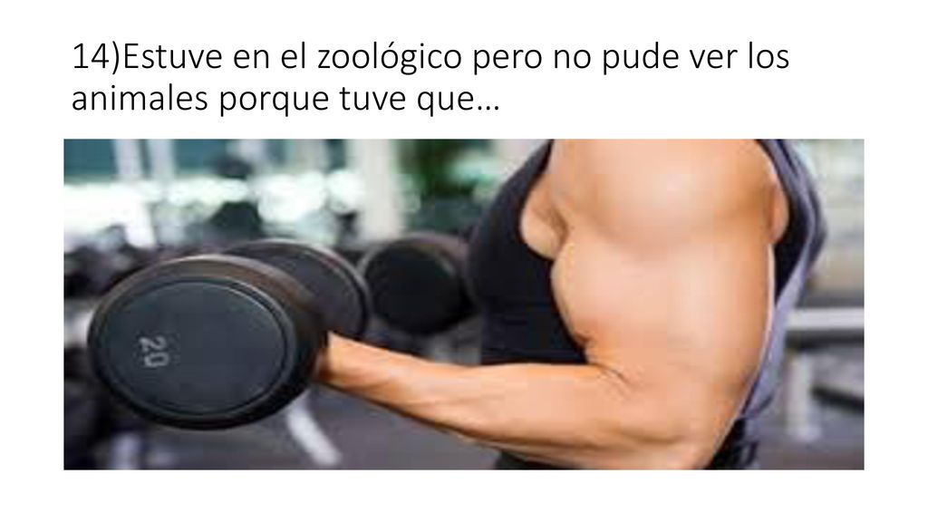 14)Estuve en el zoológico pero no pude ver los animales porque tuve que…