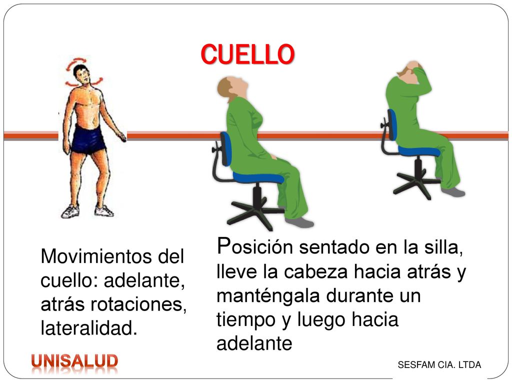 CUELLO Posición sentado en la silla, lleve la cabeza hacia atrás y manténgala durante un tiempo y luego hacia adelante.
