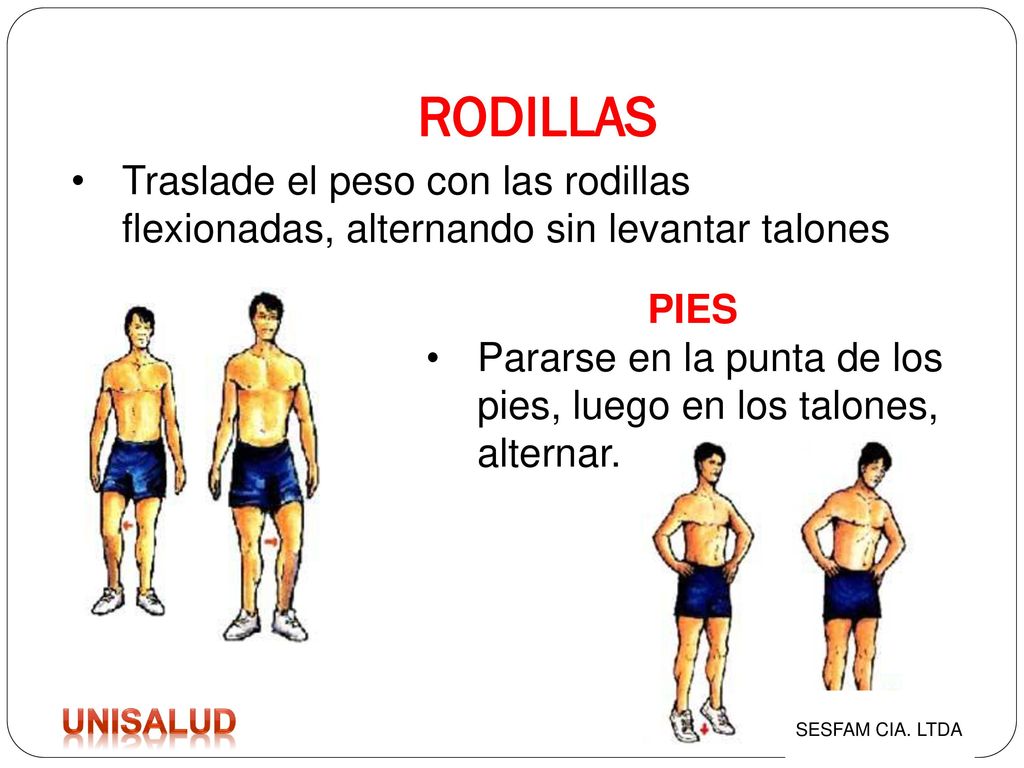 RODILLAS Traslade el peso con las rodillas flexionadas, alternando sin levantar talones. PIES.