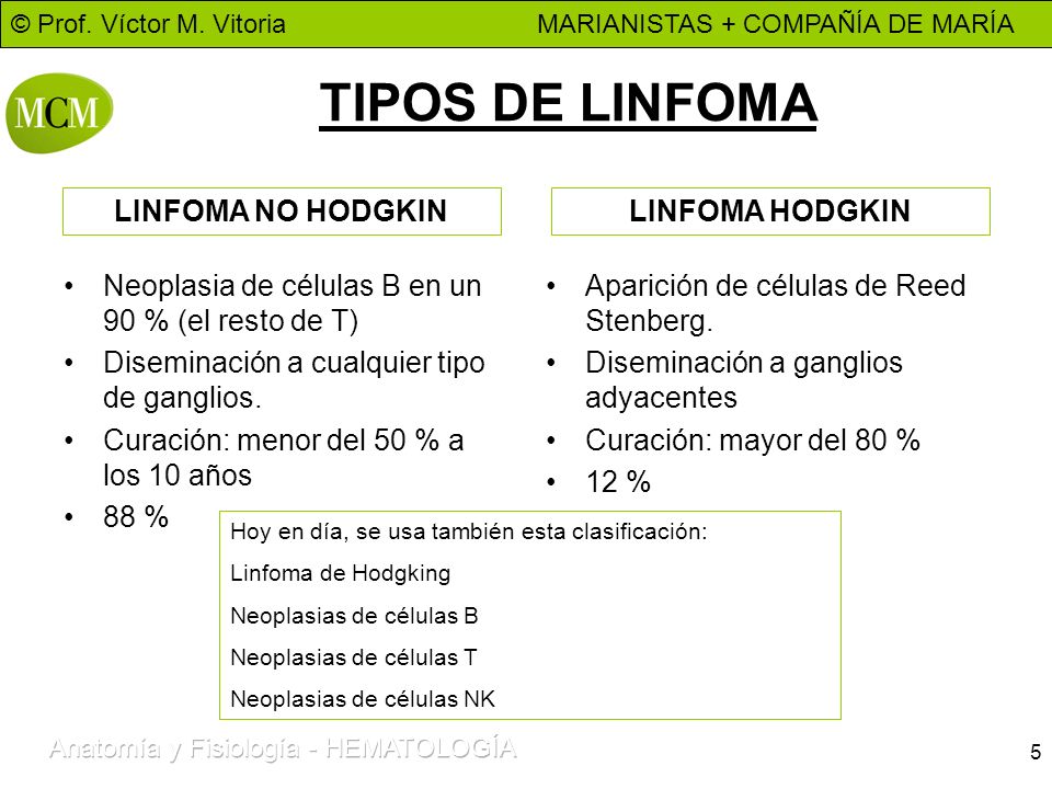 TIPOS DE LINFOMA LINFOMA NO HODGKIN LINFOMA HODGKIN