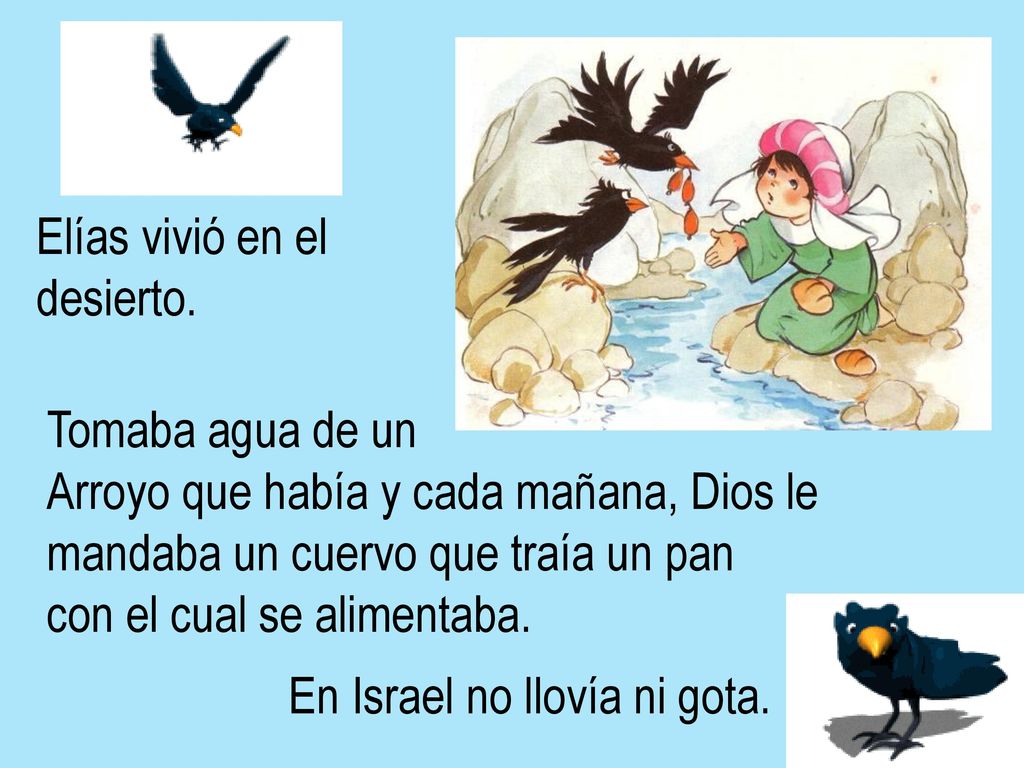 Elías vivió en el desierto. Tomaba agua de un. Arroyo que había y cada mañana, Dios le. mandaba un cuervo que traía un pan.