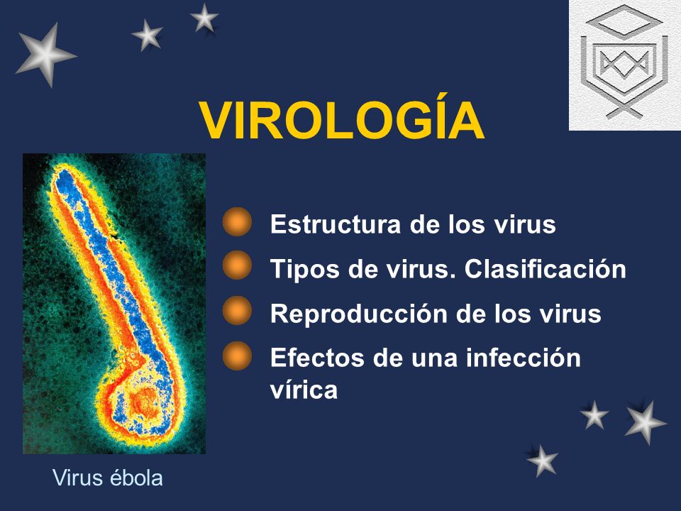 VIROLOGÍA Estructura de los virus Tipos de virus. Clasificación