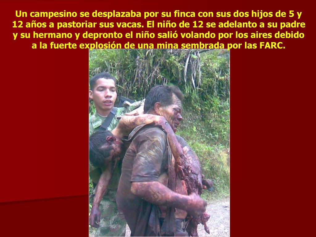 Un campesino se desplazaba por su finca con sus dos hijos de 5 y 12 años a pastoriar sus vacas.