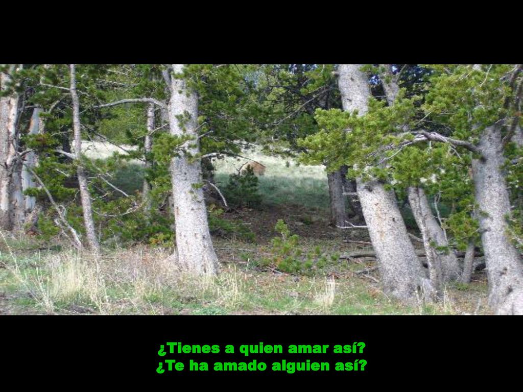 ¿Tienes a quien amar así ¿Te ha amado alguien así