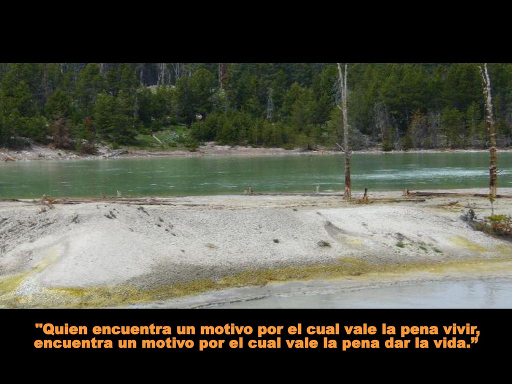Quien encuentra un motivo por el cual vale la pena vivir, encuentra un motivo por el cual vale la pena dar la vida.