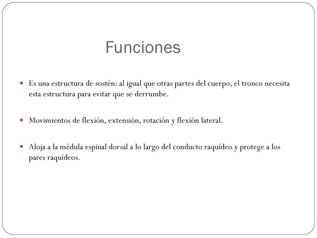 Funciones Es una estructura de sostén: al igual que otras partes del cuerpo, el tronco necesita esta estructura para evitar que se derrumbe.
