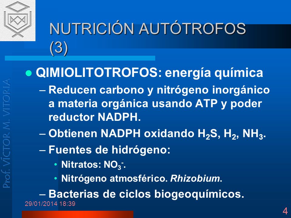 NUTRICIÓN AUTÓTROFOS (3)
