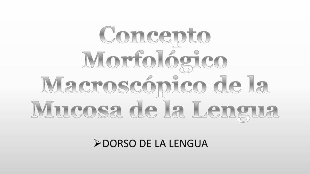 Concepto Morfológico Macroscópico de la Mucosa de la Lengua