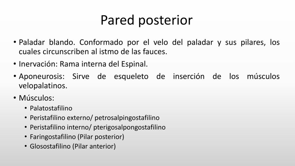 Pared posterior Paladar blando. Conformado por el velo del paladar y sus pilares, los cuales circunscriben al istmo de las fauces.