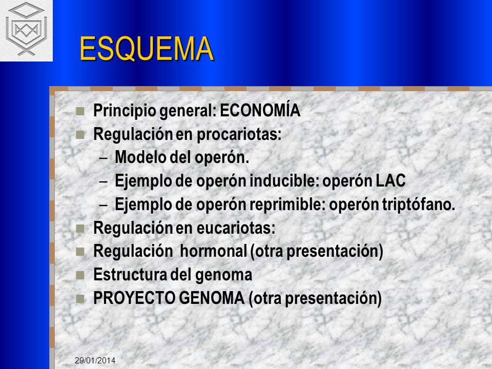ESQUEMA Principio general: ECONOMÍA Regulación en procariotas: