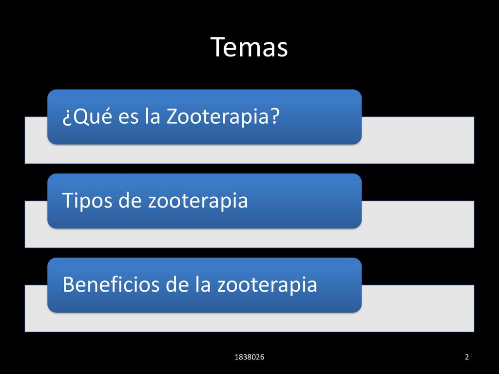 Temas ¿Qué es la Zooterapia Tipos de zooterapia