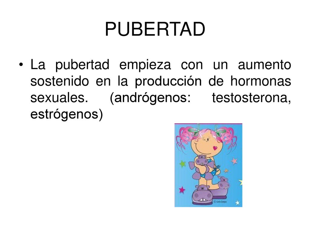 PUBERTAD La pubertad empieza con un aumento sostenido en la producción de hormonas sexuales.
