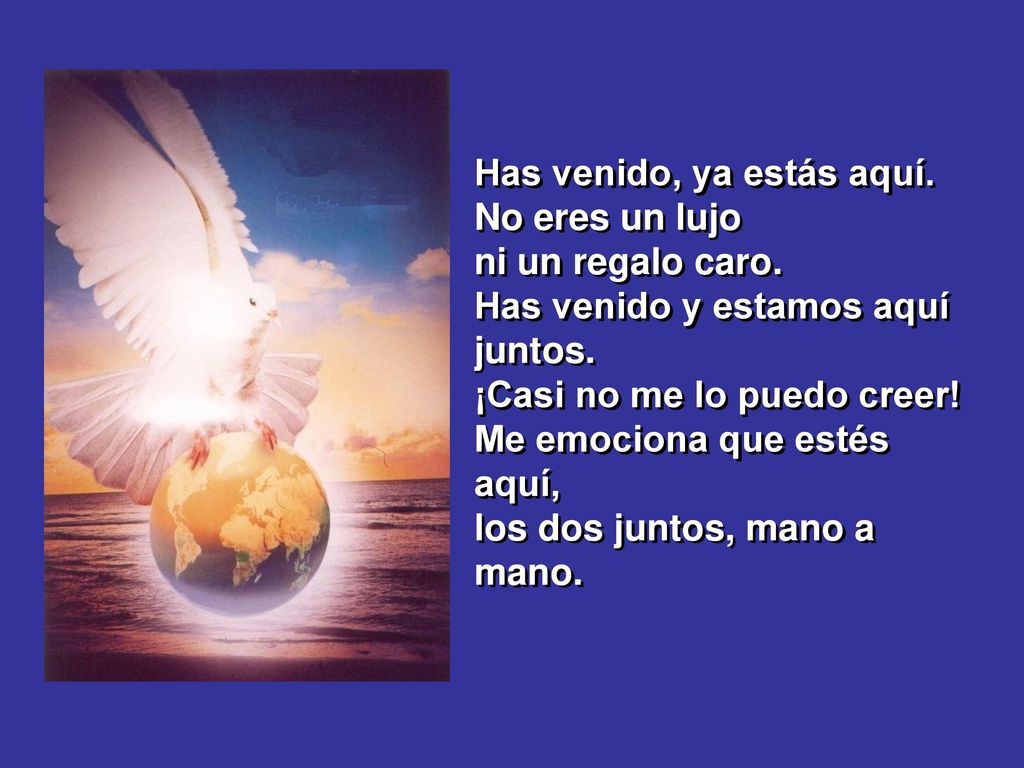 Has venido, ya estás aquí. No eres un lujo ni un regalo caro